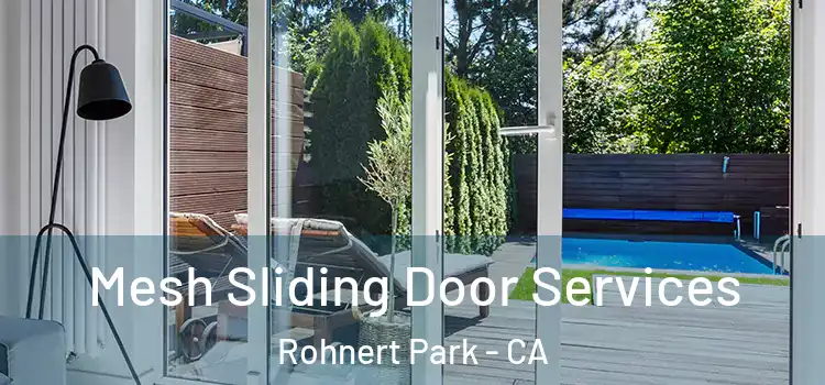 Mesh Sliding Door Services Rohnert Park - CA